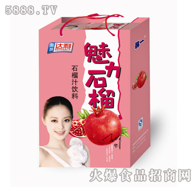韓一魅力石榴汁飲料手提袋