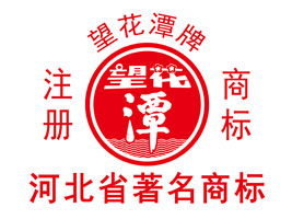 ʯ���f�������Ʒ���޹�˾