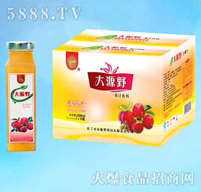 ��ԴҰ��֭���ɳ��֭330ml��12ƿ