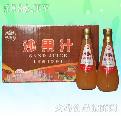 大源野果汁飲料沙果汁350ml×12瓶