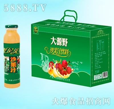 大源野果汁飲料沙果汁禮盒300ml×8瓶