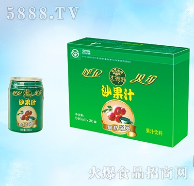 大源野果汁飲料沙果汁易拉罐240ml×20罐