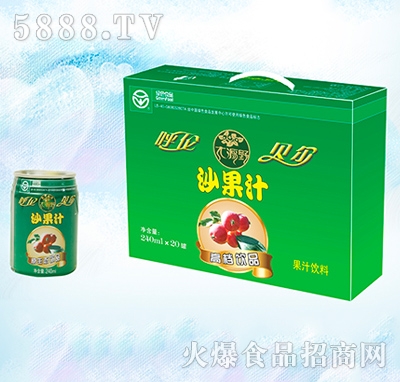 大源野果汁飲料沙果汁易拉罐禮盒240ml×8罐