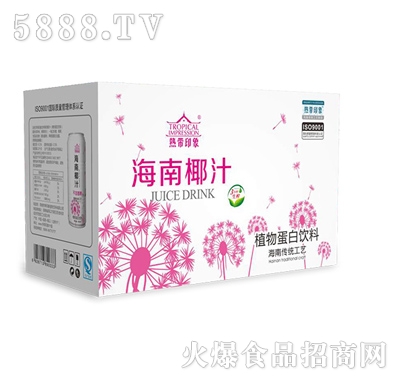 熱帶印象海南椰汁植物蛋白飲料