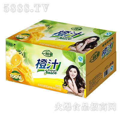 һ֦�P��֭1Lx12��