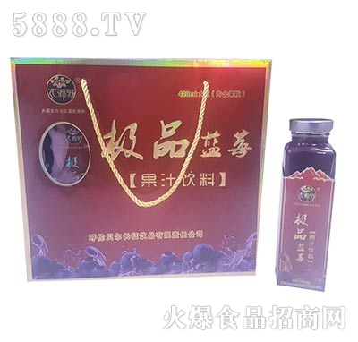 大源野藍(lán)莓果汁飲料禮盒
