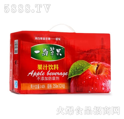 һ�w�O���O��֭���250mlx24��