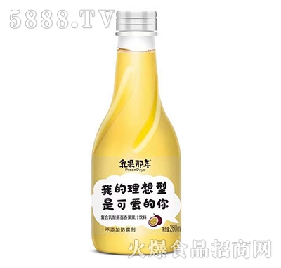 乳果那年復合乳酸菌百香果果汁260ml