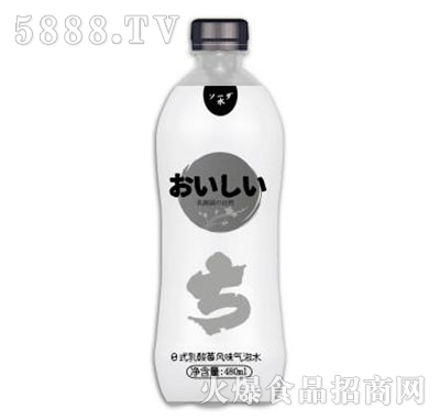 ����������L(f��ng)ζ����ˮ480ml