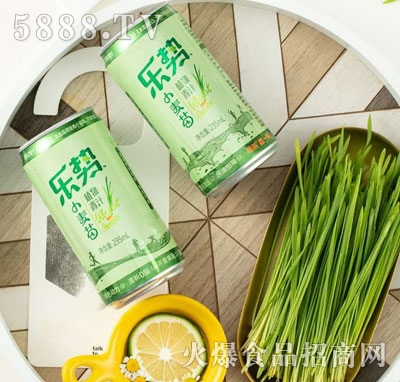 ��(l��)��(sh��)ֲ����֭235ml�������b��