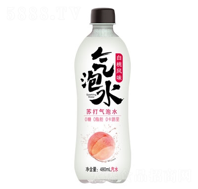 �����L(f��ng)ζ�K�����ˮ480ml