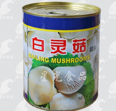 �ǹ���`�����^���b