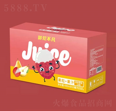 ��Ҋ(ji��n)��������+��֭��֦ѩ���ζ480mlX10