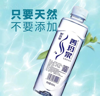 �Ƭ�Ȫ���b���ˮ520ml�ļ��Ʒ
