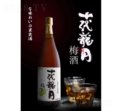 ʮ������÷��