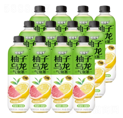 ���������Ӟ������ݲ�500ml̼������