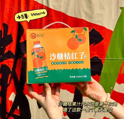 ��ؐ��ɳ�ǽۼt�˽�֭��ˮ̼����ϴ���