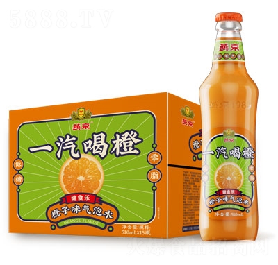 �ྩ̼����ϳ���ζ����ˮ510ml��15