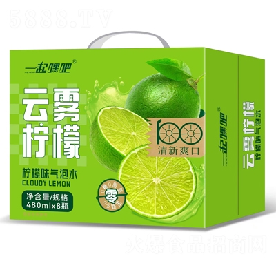 һ��ٰ����F���ʚ���ˮ480mlX8ƿ����