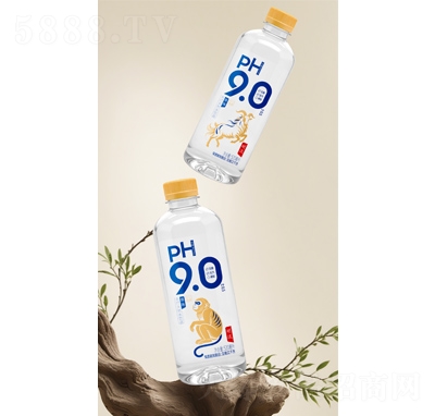 ����ʮ����Фԭζ�K��ˮ520ml
