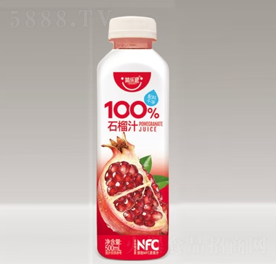 ������100%ʯ��֭500ml