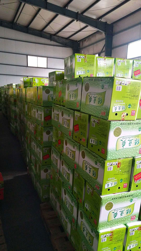 愛雨綠豆爽1 愛雨綠豆爽1