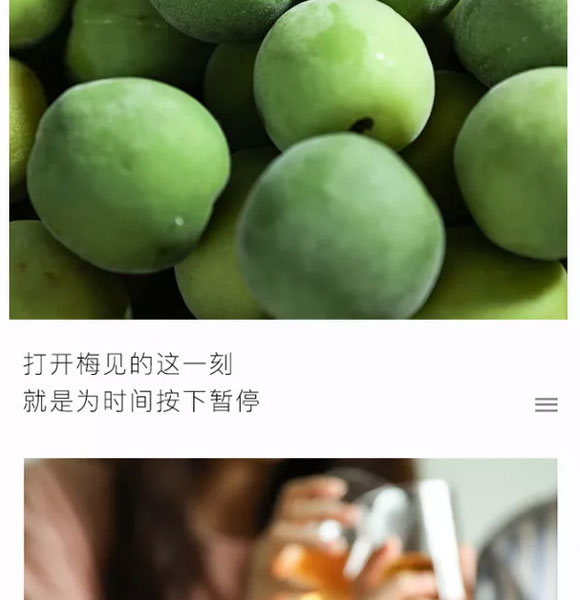 ��ɭ��÷�G��1L