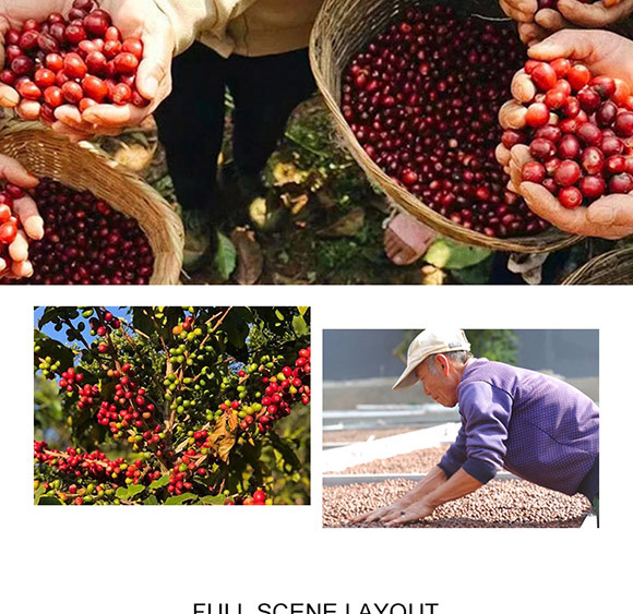 �����������޹�˾-����02_10