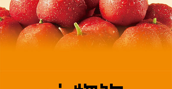 ɽ�|���M(j��n)������޹�˾-ɽ������_09